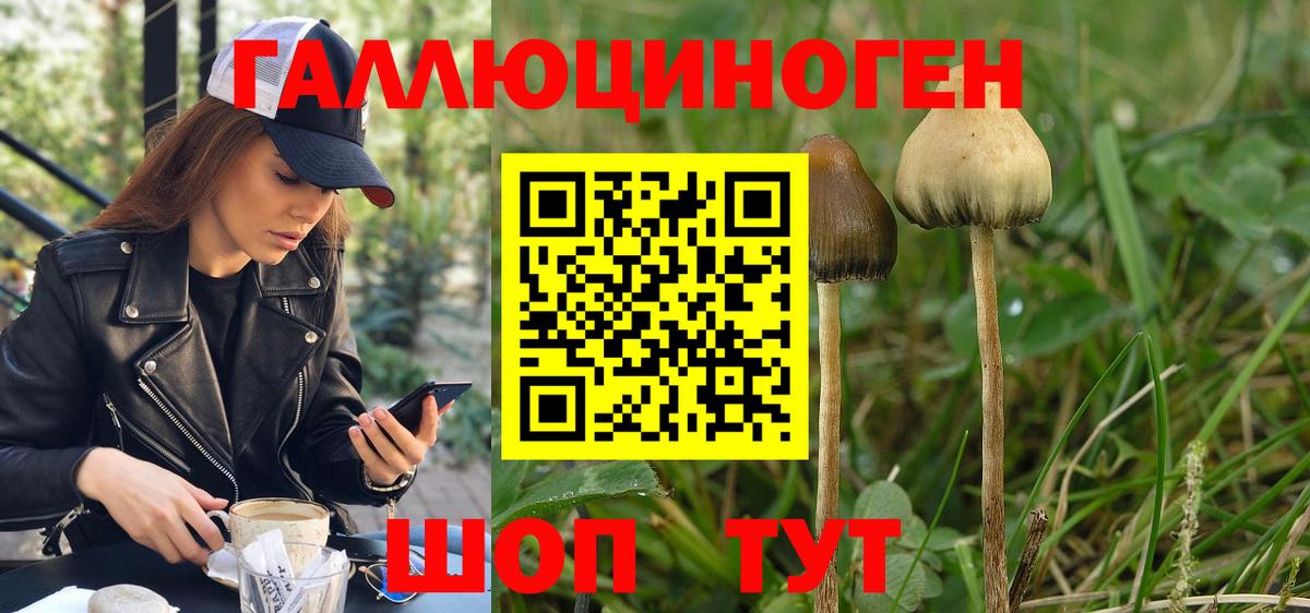 Псилоцибиновые грибы Psilocybine cubensis  Вход с VPN  купить закладку  Троицк 