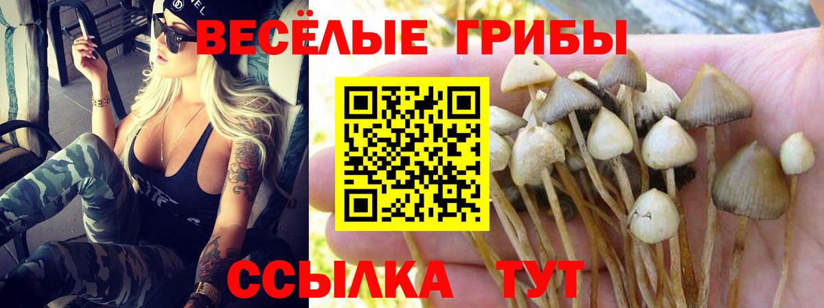 Псилоцибиновые грибы прущие грибы Троицк